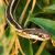 Eastern ribbon snake (Mosesso, NBII Digital Image Library)