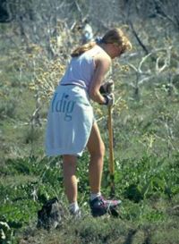 Volunteer digging Scotch Thistle, Millard, Utah.  Steve Dewey, Utah State University.