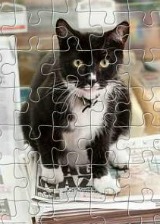 Puzzles