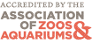 American Zoo and Aquarium Association