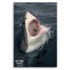 Shark Week "Open Wide" Poster