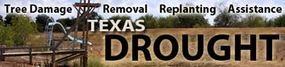 Drought in Texas Button