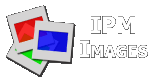 IPM Images