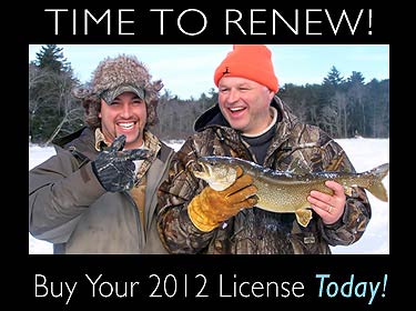 renew your NH license