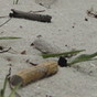 A cigarette on the east side of Gulfport Beach near the casino.