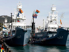 Quake Relief Money Used for Whaling