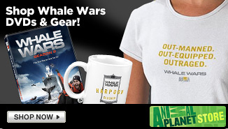 Shop Whale Wars DVDs & Gear!
