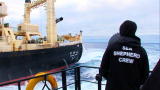Whale Wars Clashes and Collisions