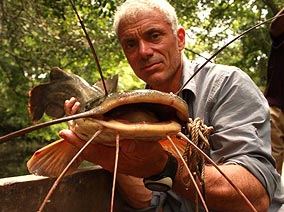 More River Monsters