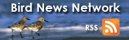 Bird Conservation News Network