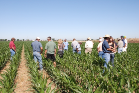 UC launches “Conservation Agriculture Systems Institute” Jan. 27