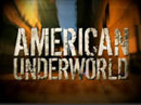 American Underworld