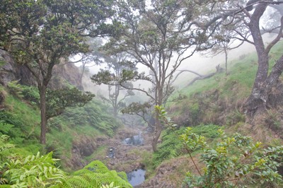  Nakula Natural Area Reserve, Maui