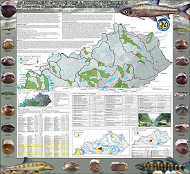 Aquatic Hot Spots and Priority Watershed Analysis Poster 