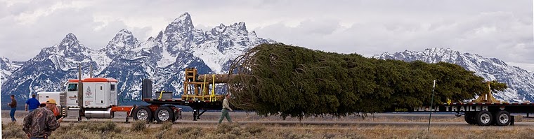 2010 Capitol Christmas Tree in front of the Teton Mountains