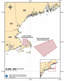 northeast u.s. north atlantic right whale critical habitat map