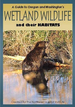 Wetland Wildlife Habitat Book