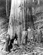 Shelton Family w large Chestnut, Tremont Falls TN c1920 (Courtesy of Great Smoky Mountains National Park Library)