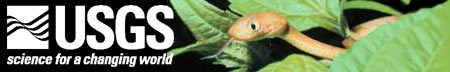 The Brown Tree Snake on Guam banner. The banner image is a close-up of a brown tree snake climbing through a tree. 