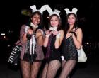 
These three girls dressed as Playboy Bunnies.