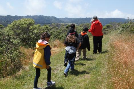 Students hike the Martin Griffin Preserve