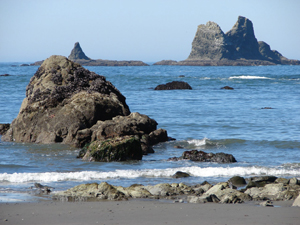 Olympic Coast National Marine Sanctuary.