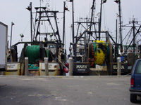 Fishing boats in New England. 