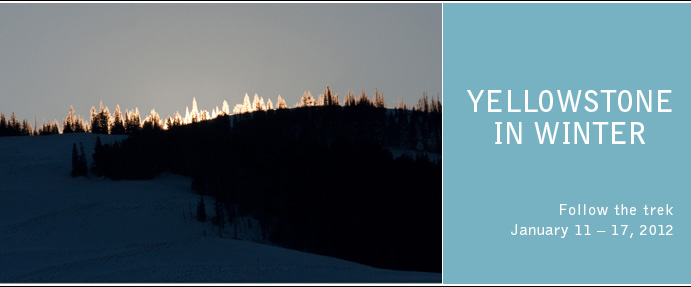 Yellowstone in Winter - Follow the trek, January 11-17, 2012