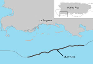 Map of the southwestern coast of Puerto Rico showing the study area.