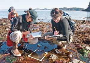 Scientists conducting research in Alaska.