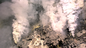 Hydrothermal vents.