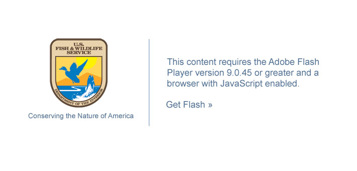 This content requires the Adobe Flash Player version 9.0.45 or greater and a browser with JavaScript enabled.  Get Flash.