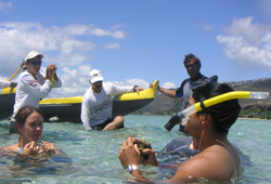 Volunteers learn about limu, or seaweed, for reef surveys.