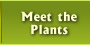 Meet the Plants