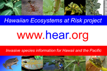 Hawaiian Ecosystems at Risk project