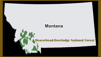 map of the Beaverhead-Deerlodge NF in the state of Montana.