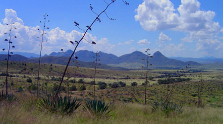 Arizona Ranch Unifies Landscape