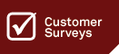 Customer Surveys