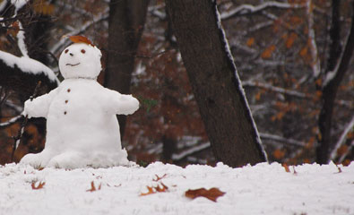 Winter Fun in Parks