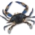 Blue crab [Photo: USDA]