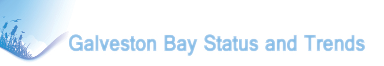 Galveston Bay Status and Trends