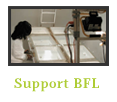 Support BFL