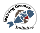 Whirling Disease Initiative