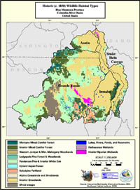 Blue Mountains Historic (c. 1850) Habitat Type Map