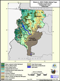 Columbia Cascade Historic (c. 1850) Habitat Type Map