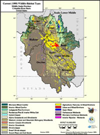 Middle Snake Current Wildlife Habitat Type Map