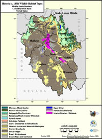 Middle Snake Historic (c. 1850) Habitat Type Map