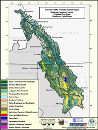 Upper Snake Current Wildlife Habitat Type Map