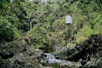 Hanawi Stream near Nahiku, Maui, Hawaii. 