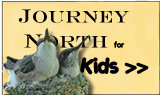 Journey North for Kids